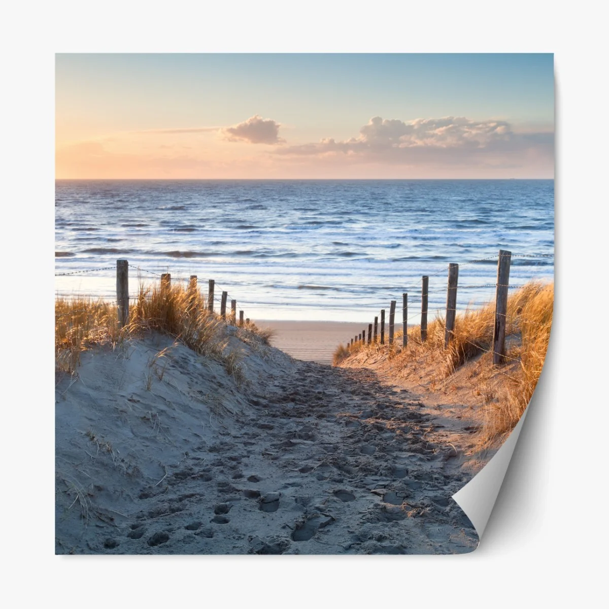 Repositionierbarer Aufkleber sonnenuntergangspfad zur Nordsee, Holland – Wallnifity®