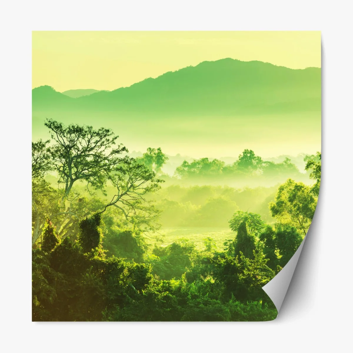 Repositionierbarer Aufkleber üppige tropische dschungellandschaft – Wallnifity® Repositionierbarer Aufkleber üppige tropische dschungellandschaft – Wallnifity®