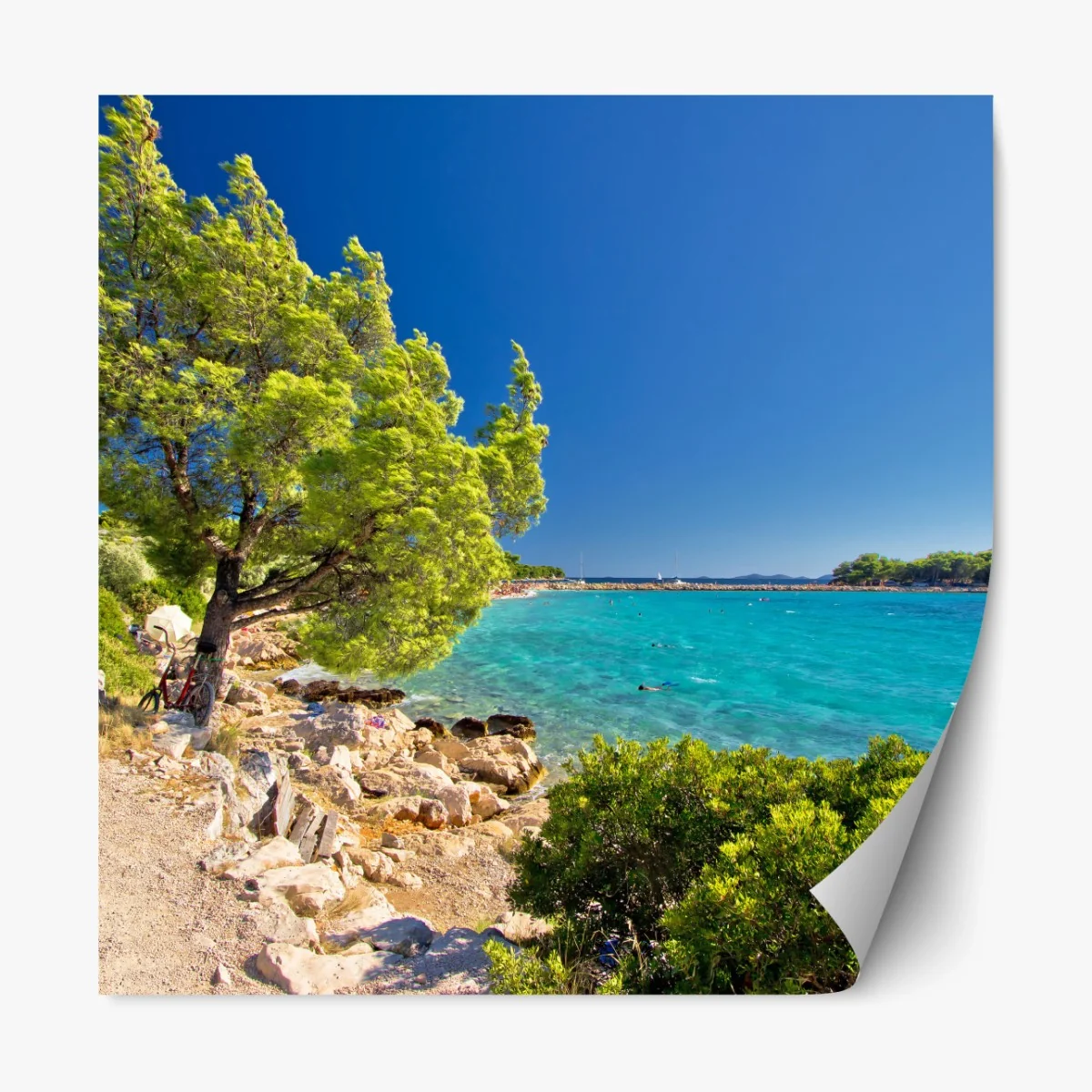 Repositionierbarer Aufkleber idyllischer türkisfarbener strand auf der Insel Murter – Wallnifity®