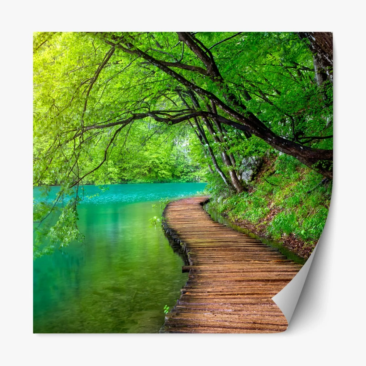 Repositionierbarer Aufkleber ruhiger holzsteg am see im grünen wald – Wallnifity®