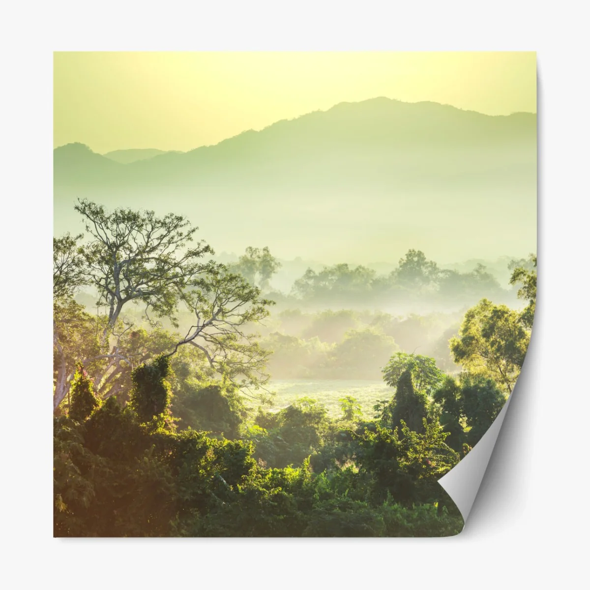 Repositionierbarer Aufkleber nebliger dschungel in Vietnam bei sonnenaufgang – Wallnifity®