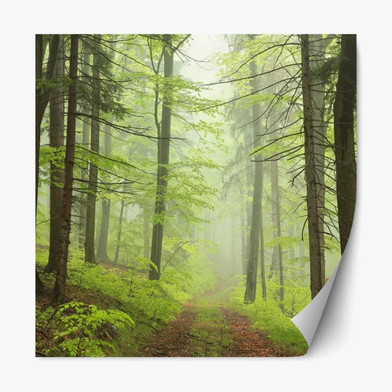 Repositionierbarer Aufkleber türkiswellenmuster mit goldlinien – Wallnifity®