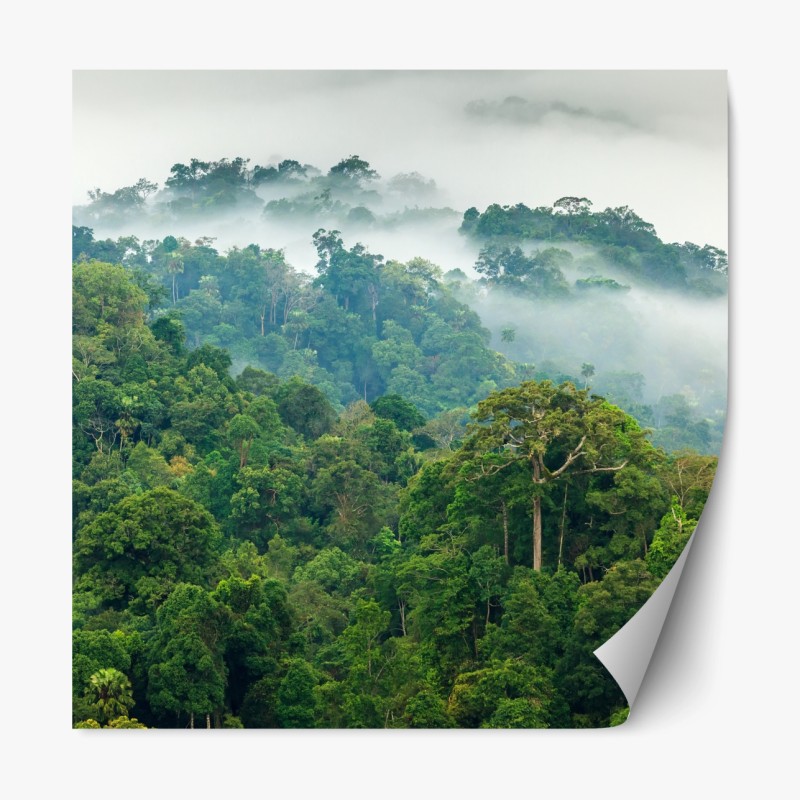 Repositionierbarer Aufkleber morgendlicher nebel über dem wald von Kaeng Krachan