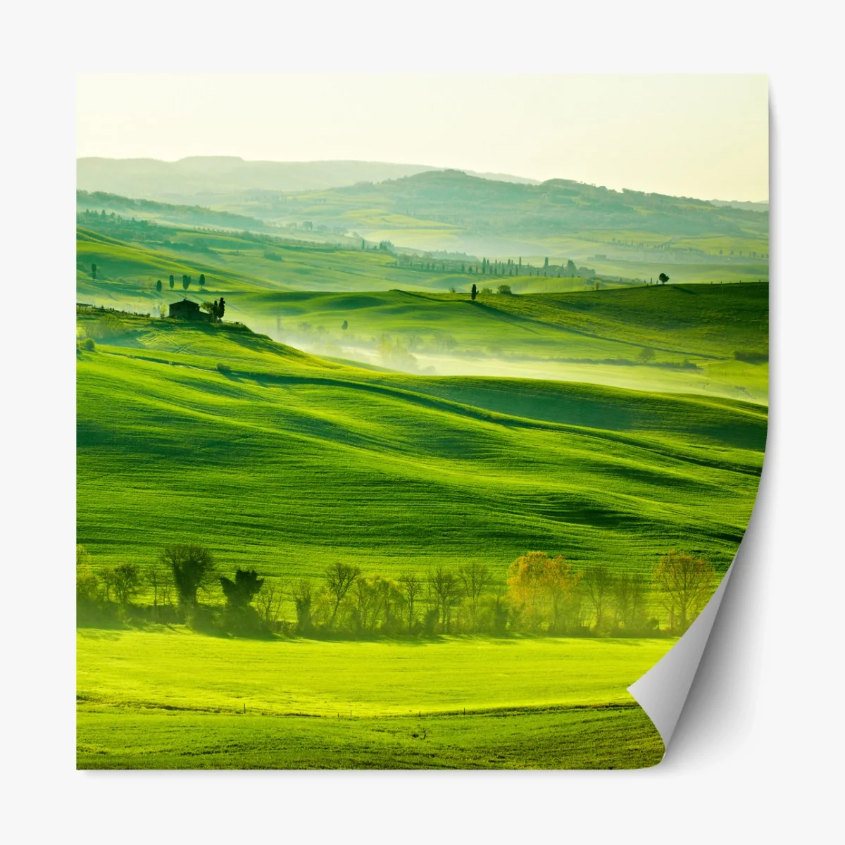 Repositionierbarer Aufkleber sonnige sanft hügelnde landschaft der Toskana – Wallnifity® Repositionierbarer Aufkleber sonnige sanft hügelnde landschaft der Toskana – Wallnifity®