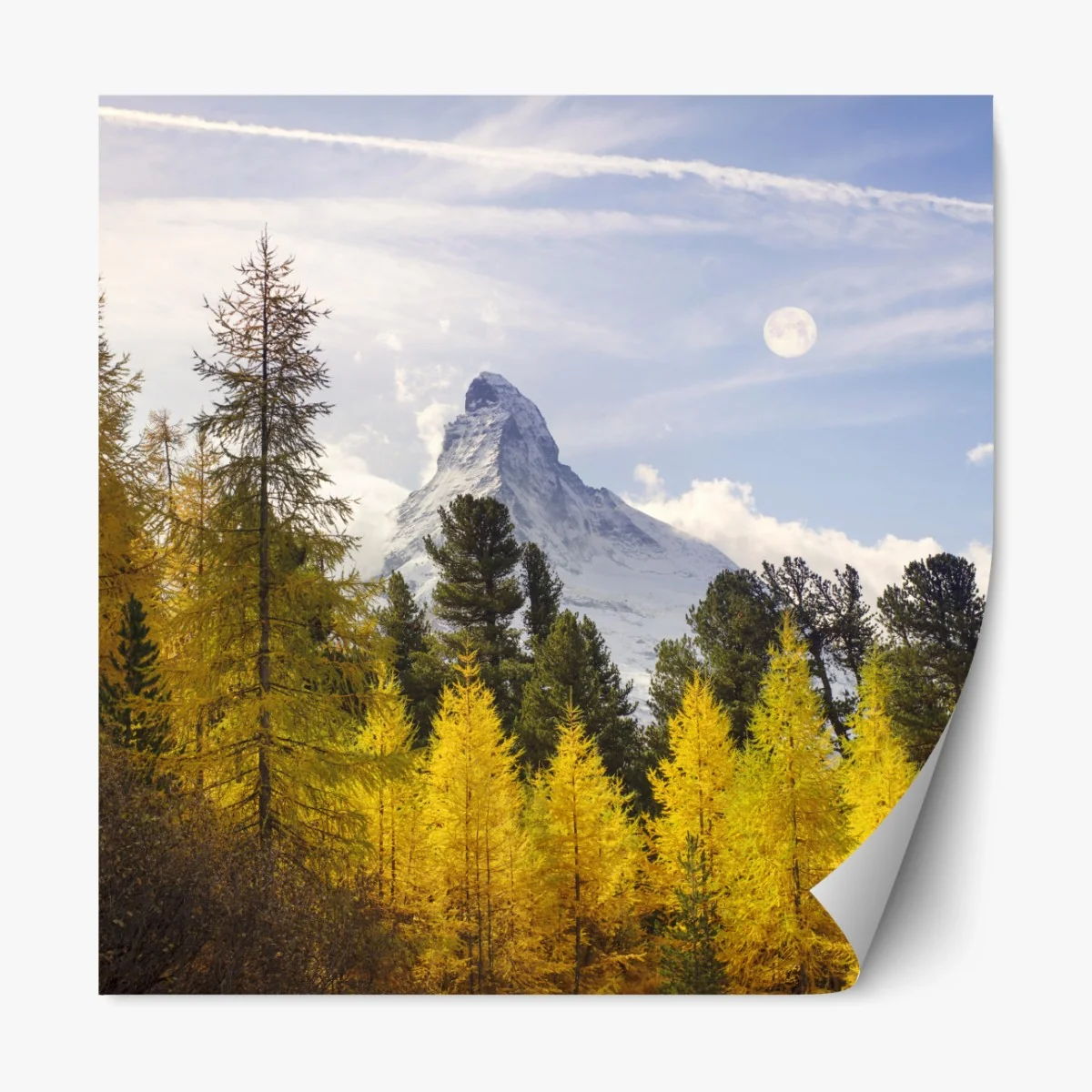 Repositionierbarer Aufkleber goldene lärchen und Matterhorn – Wallnifity® Repositionierbarer Aufkleber goldene lärchen und Matterhorn – Wallnifity®