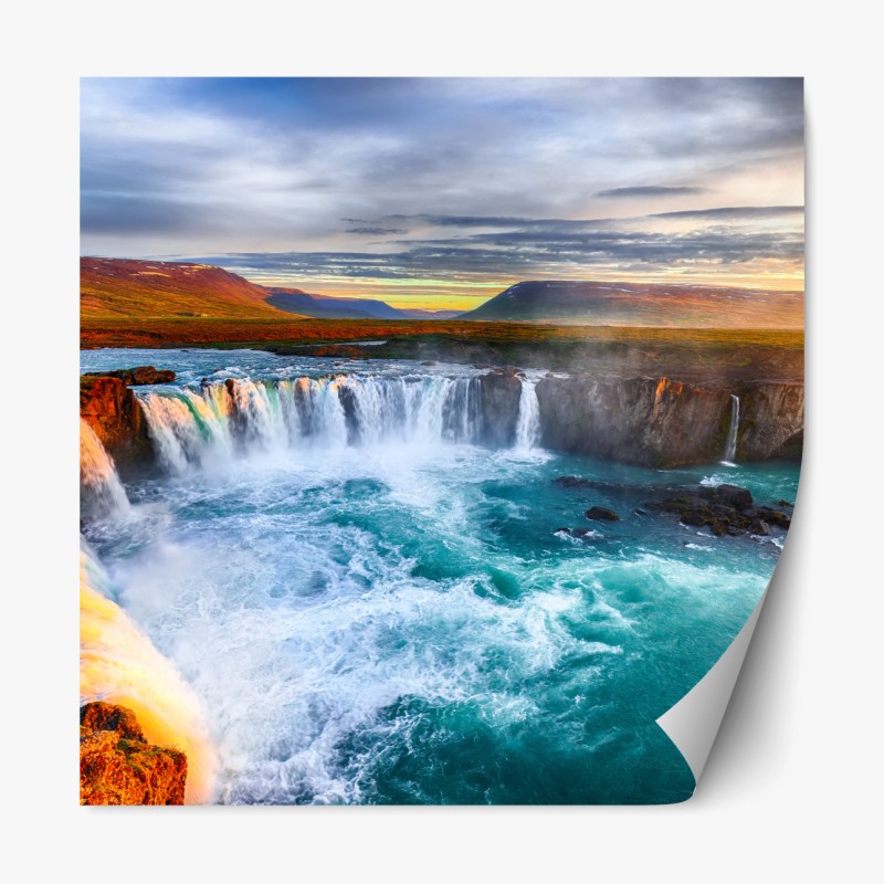 Repositionierbarer Aufkleber tropisches tukanparadies – Wallnifity®