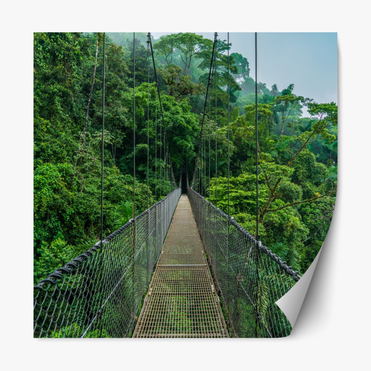 Repositionierbarer Aufkleber hängende brücke im dichten dschungel – Wallnifity®