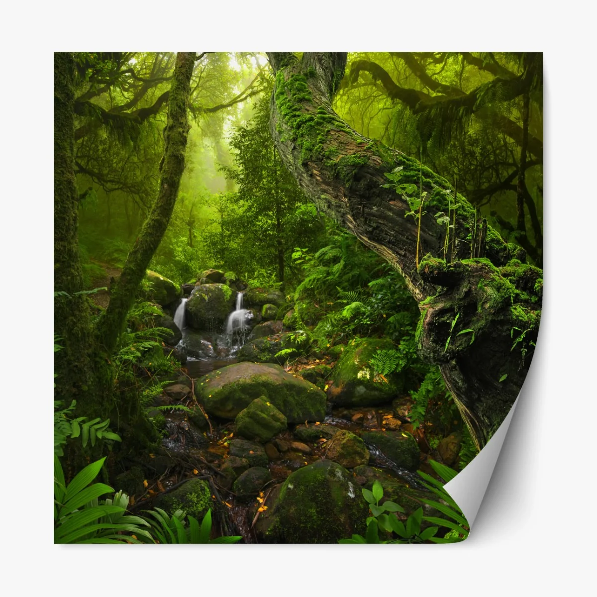 Repositionierbarer Aufkleber moosiger waldbach im morgenlicht – Wallnifity® Repositionierbarer Aufkleber moosiger waldbach im morgenlicht – Wallnifity®