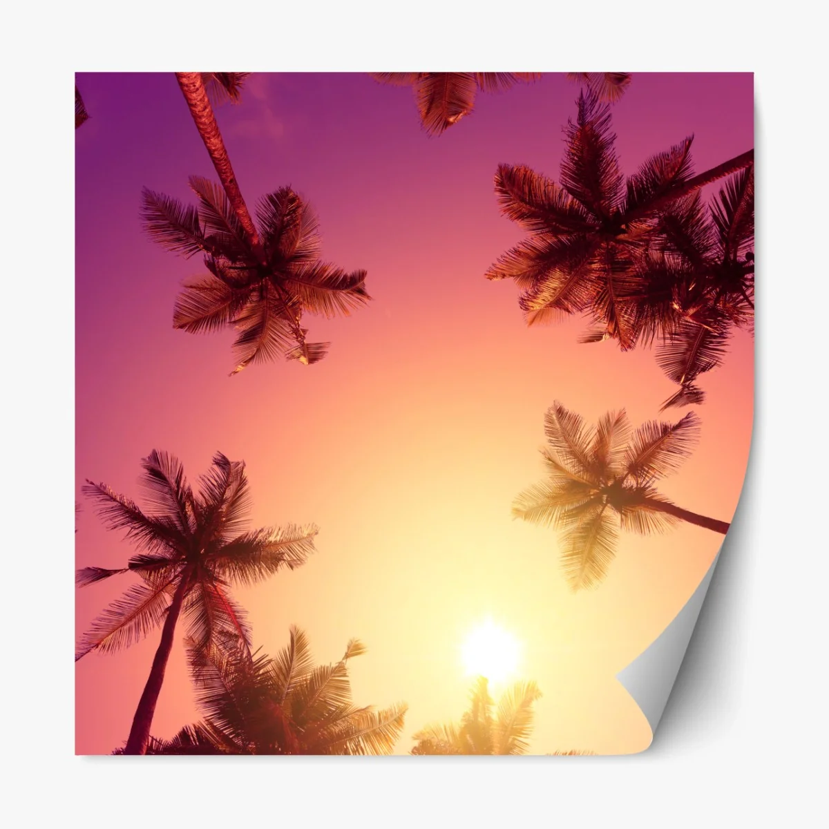 Repositionierbarer Aufkleber tropischer sonnenuntergang mit palmen-silhouetten – Wallnifity®