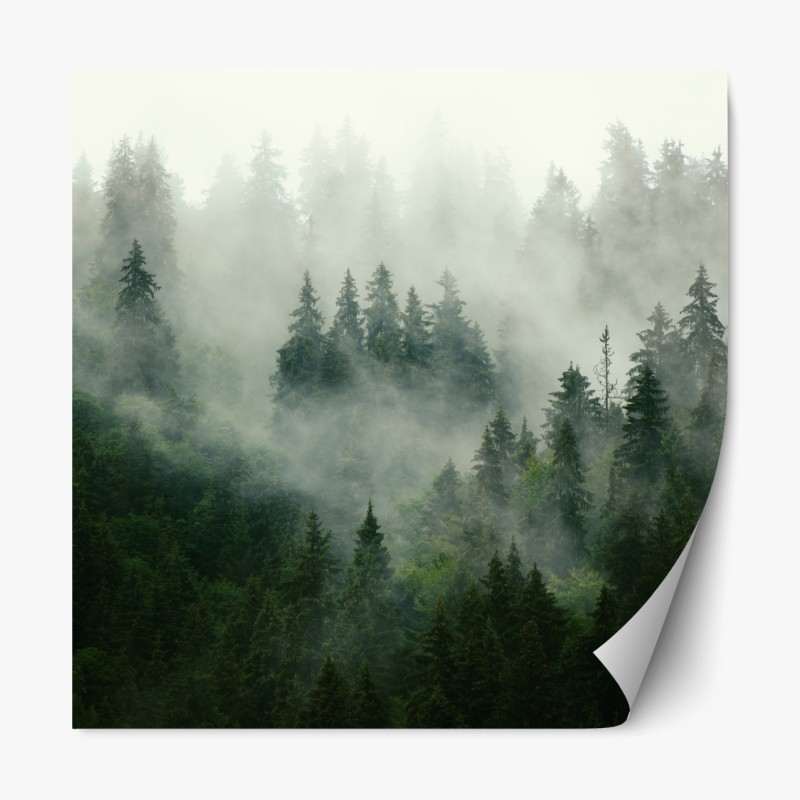 Repositionierbarer Aufkleber handgezeichnetes marineblaues blumenmuster auf creme – Wallnifity®