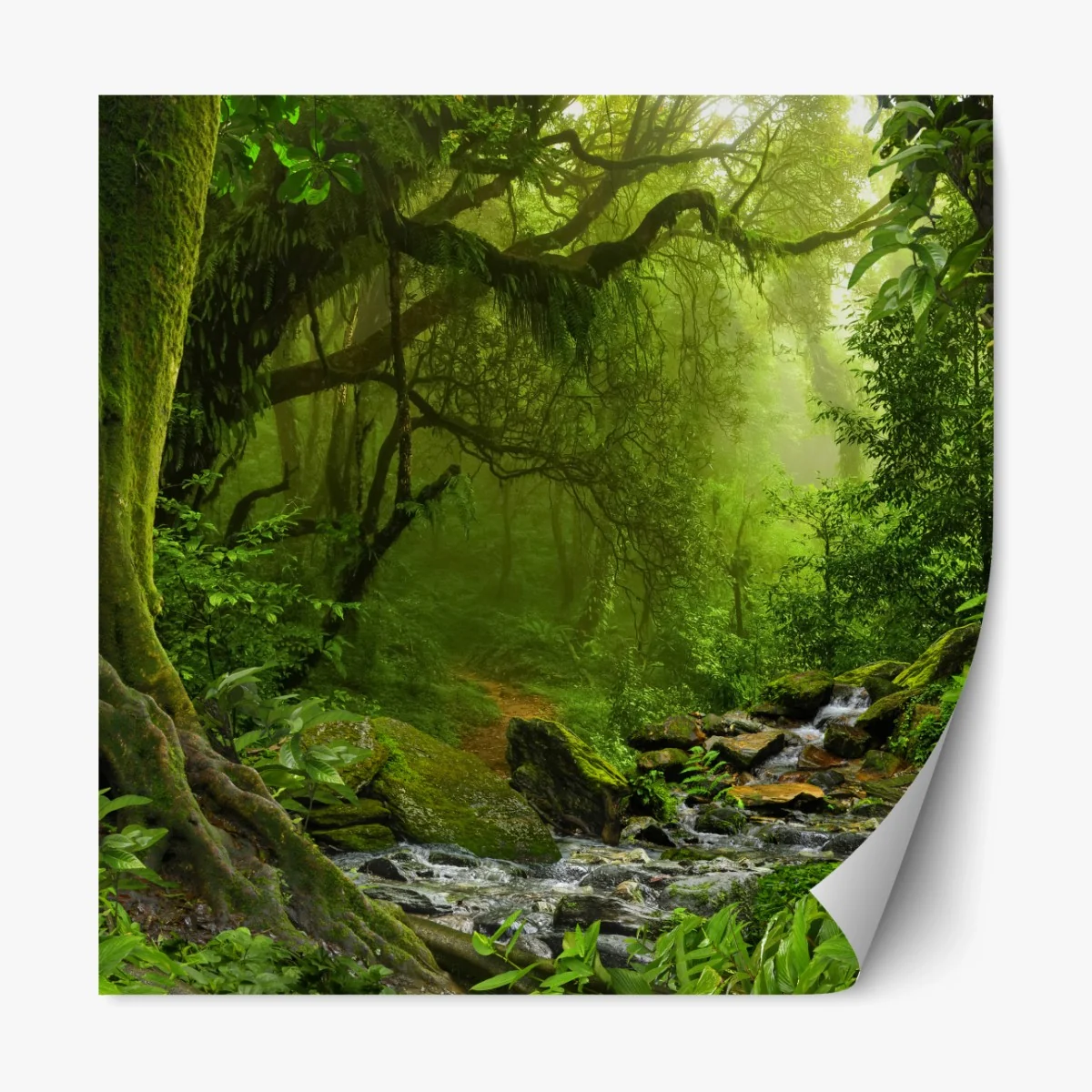 Repositionierbarer Aufkleber verwunschener grüner wald mit bach – Wallnifity®