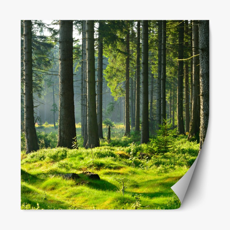 Repositionierbarer Aufkleber tropischer sonnenuntergang mit palmensilhouette – Wallnifity®