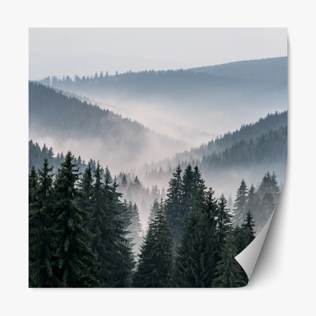 Repositionierbarer Aufkleber nebliger bergwald – Wallnifity® Repositionierbarer Aufkleber nebliger bergwald – Wallnifity®