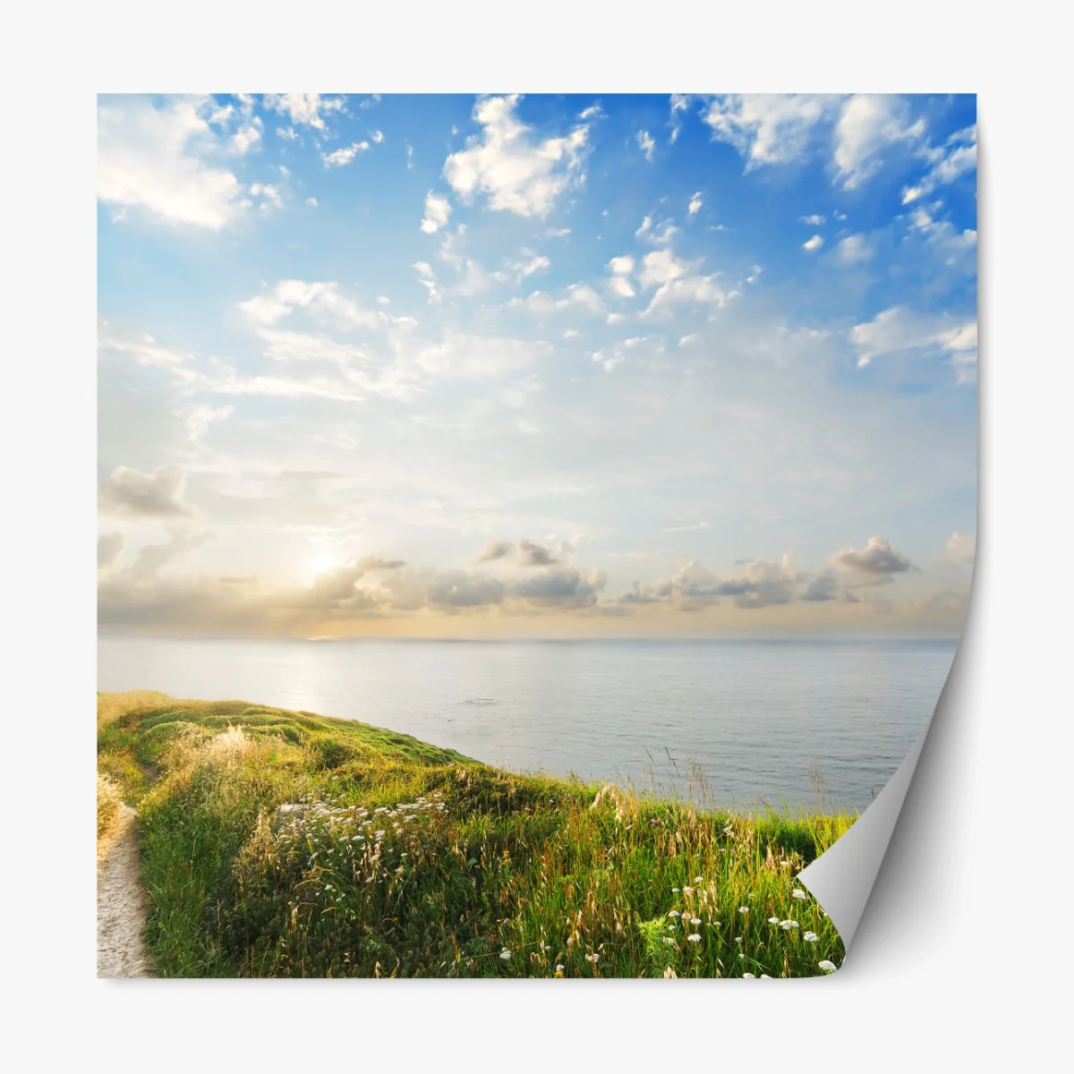 Repositionierbarer Aufkleber sonniger küstenpfad zum meer – Wallnifity® Repositionierbarer Aufkleber sonniger küstenpfad zum meer – Wallnifity®