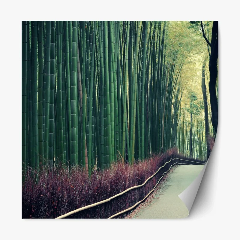 Repositionierbarer Aufkleber ruhiger bambuspfad in Arashiyama