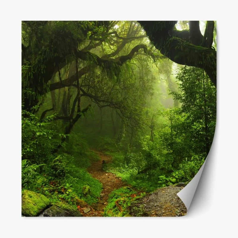 Repositionierbarer Aufkleber verwunschener moosiger waldpfad