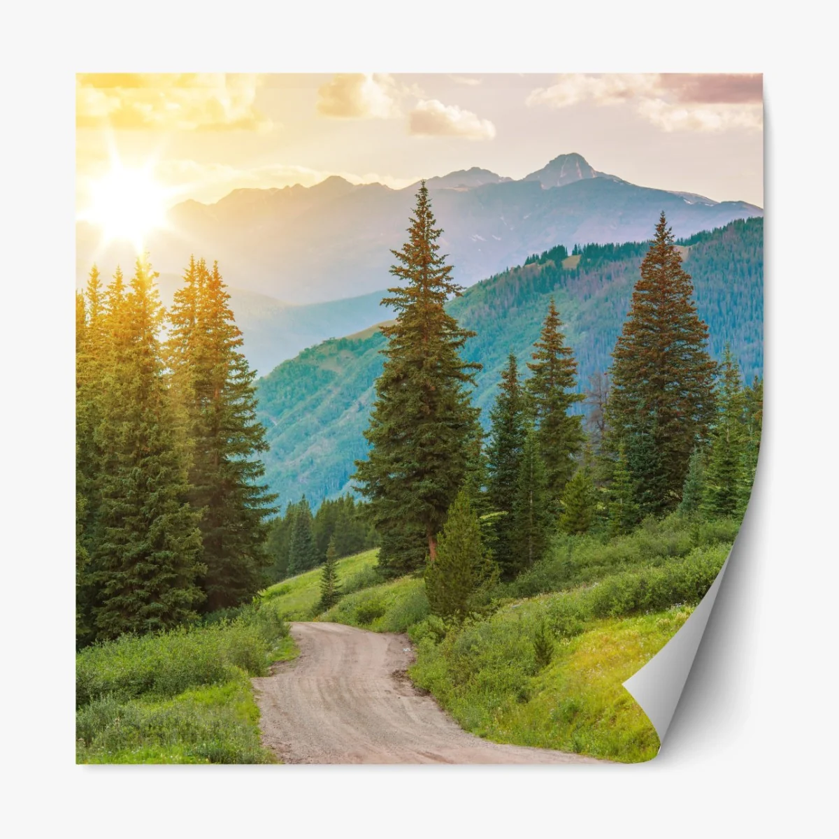 Repositionierbarer Aufkleber Colorado bergpfad bei sonnenaufgang – Wallnifity®