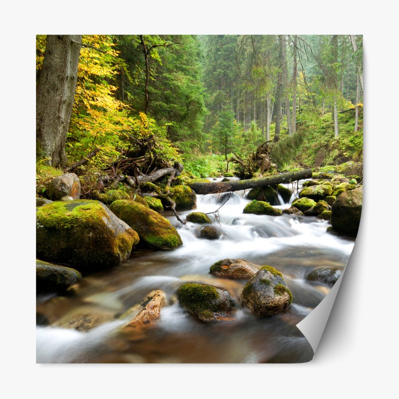 Repositionierbarer Aufkleber verspieltes dschungel-tiger-muster – Wallnifity®