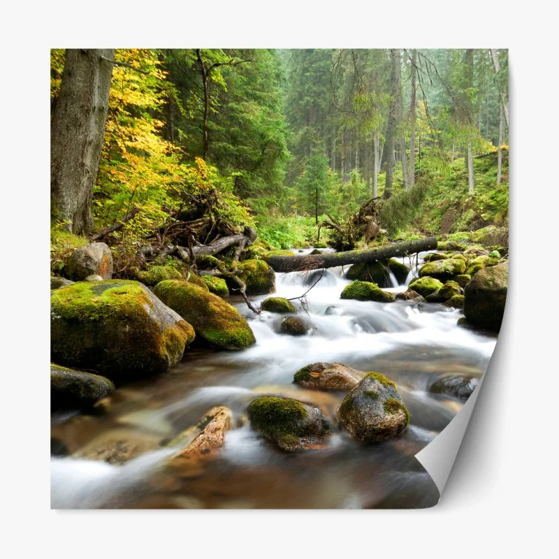 Repositionierbarer Aufkleber vereister see im dämmerlicht mit waldspiegelung – Wallnifity®