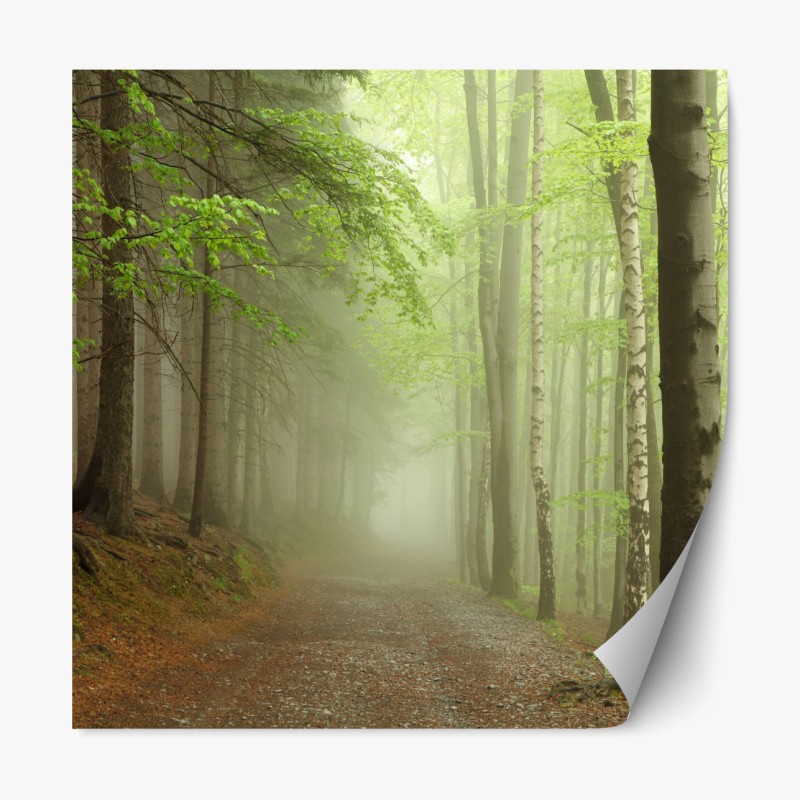 Repositionierbarer Aufkleber schwarzer marmor mit goldenen adern – Wallnifity®