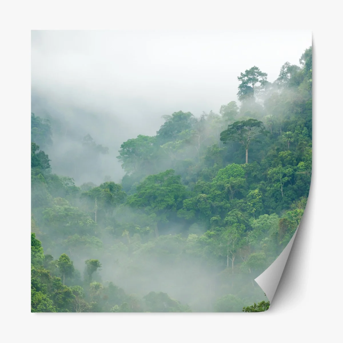 Repositionierbarer Aufkleber morgendlicher nebel über Kaeng Krachan – Wallnifity® Repositionierbarer Aufkleber morgendlicher nebel über Kaeng Krachan – Wallnifity®