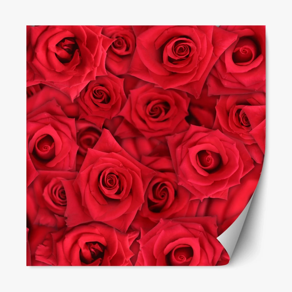 Repositionierbarer Aufkleber leuchtende rote rosen collage – Wallnifity®