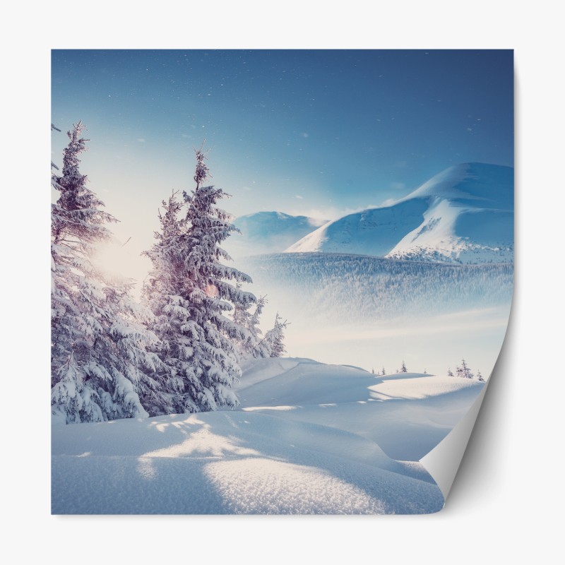 Repositionierbarer Aufkleber hirsch und kitz im sonnendurchfluteten wald – Wallnifity®