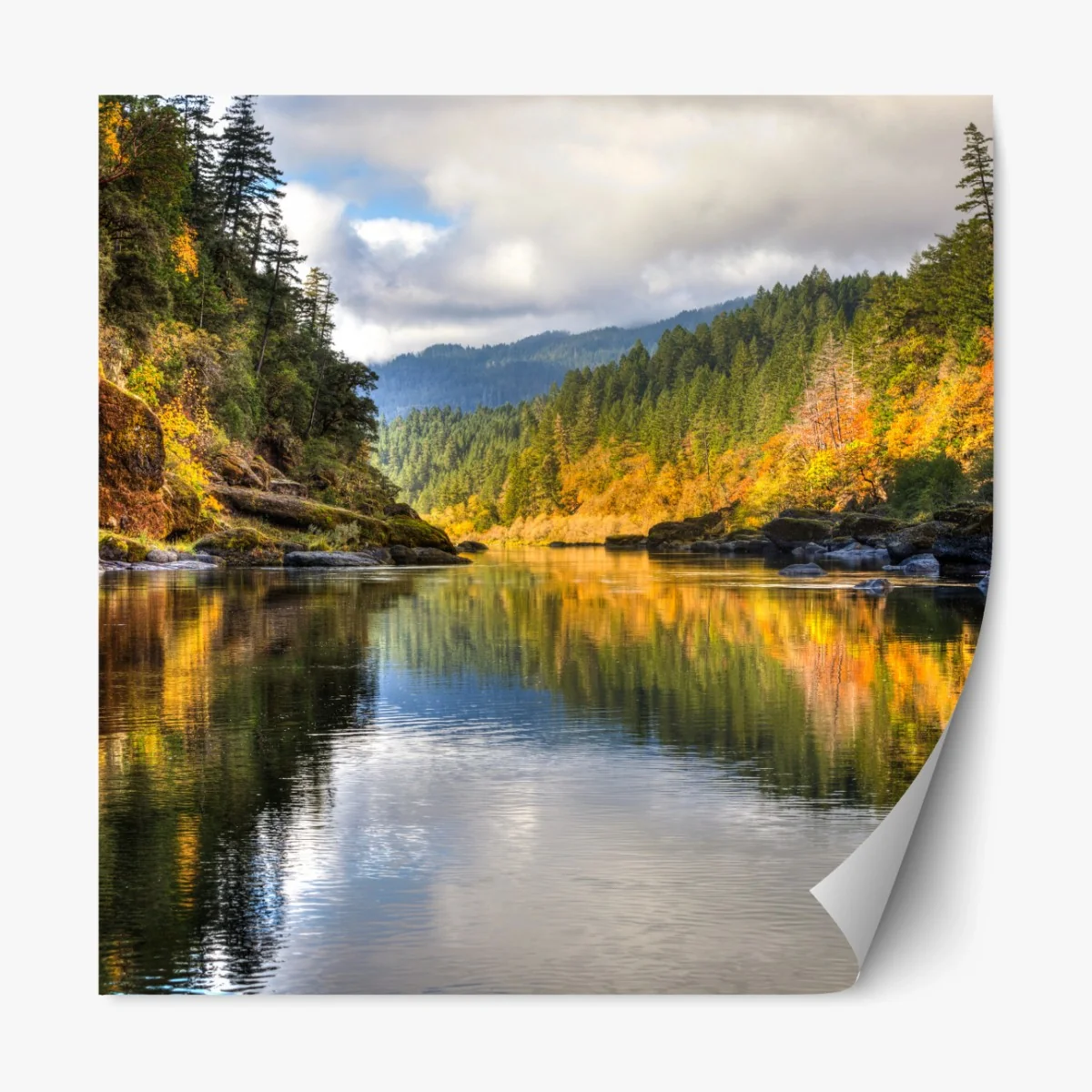 Repositionierbarer Aufkleber Rogue River herbstliche spiegelungen – Wallnifity® Repositionierbarer Aufkleber Rogue River herbstliche spiegelungen – Wallnifity®