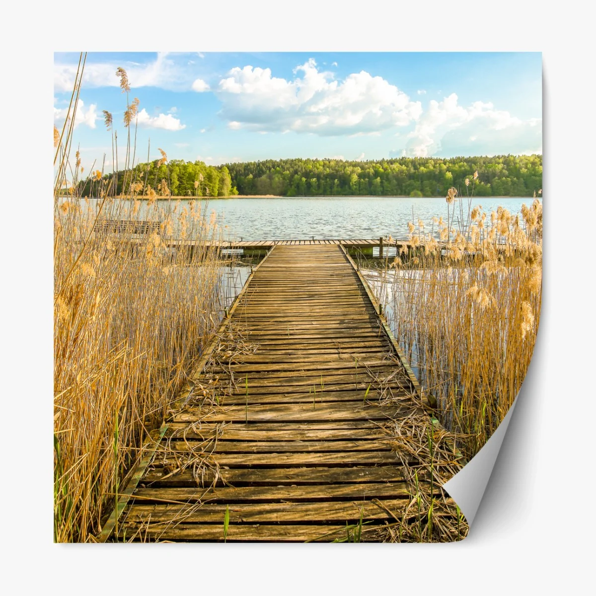 Repositionierbarer Aufkleber hölzerner steg zum ruhigen see – Wallnifity®