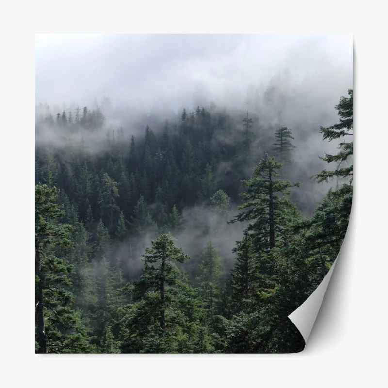 Repositionierbarer Aufkleber Azenhas do Mar küstendorf auf der klippe, Portugal – Wallnifity®