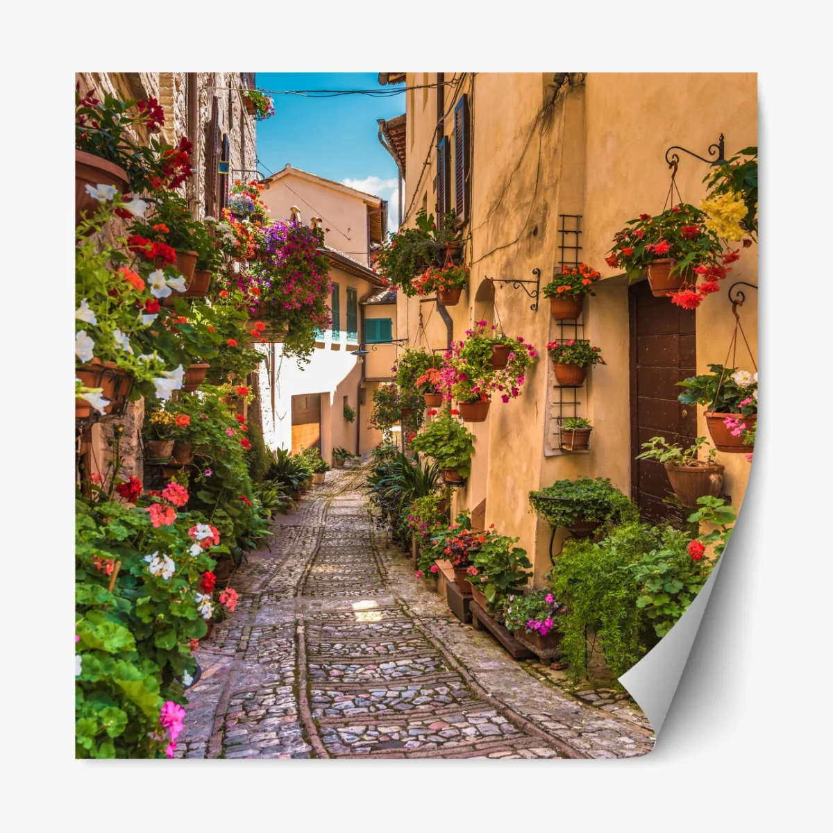 Repositionierbarer Aufkleber sonnige blumengasse in Umbrien – Wallnifity® Repositionierbarer Aufkleber sonnige blumengasse in Umbrien – Wallnifity®