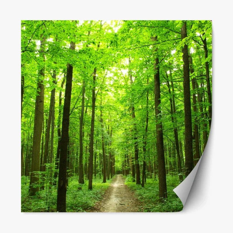 Repositionierbarer Aufkleber aquarell kakaofrüchte botanisches muster – Wallnifity®