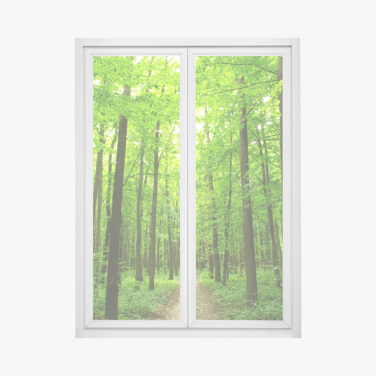 Fensteraufkleber ruhiger waldpfad – Wallnifity®