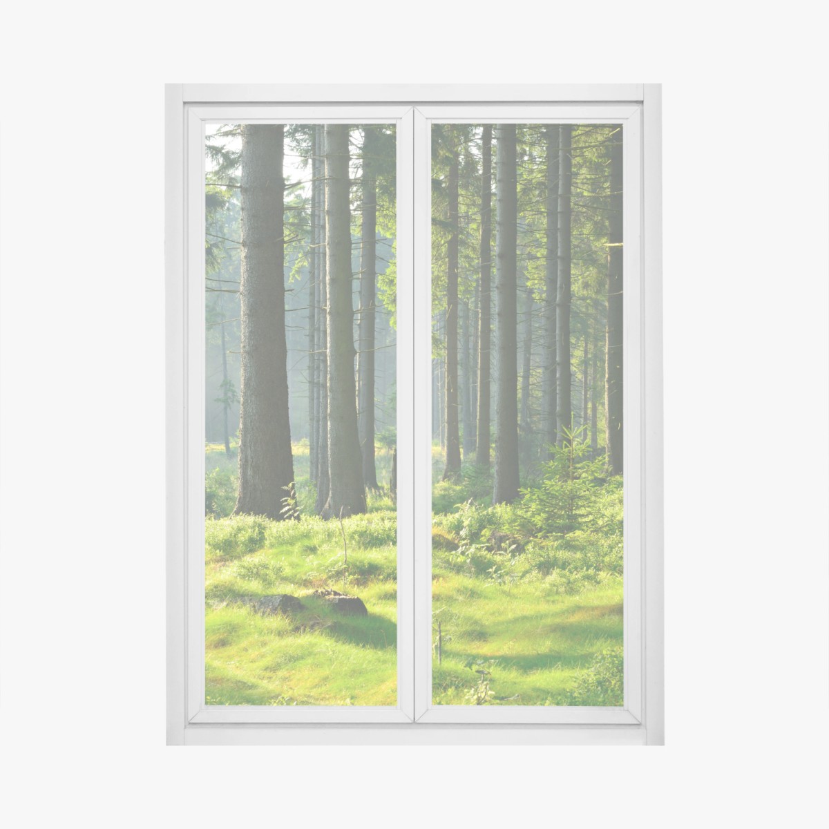 Fensteraufkleber sonnige grüne lichtung im wald – Wallnifity®