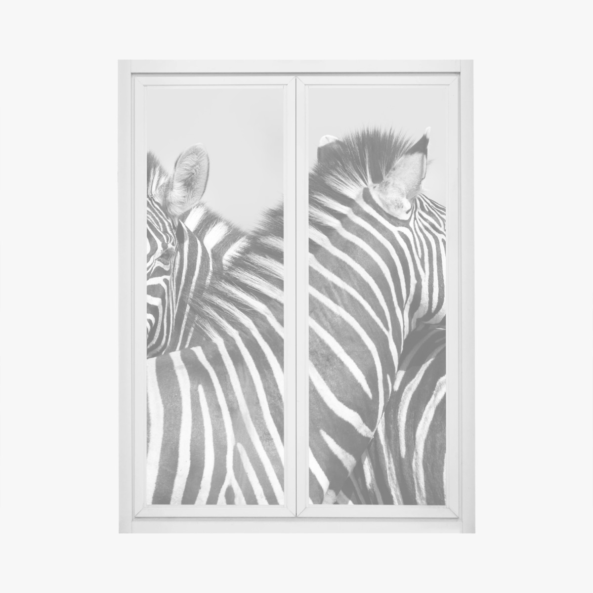 Fensteraufkleber verschlungene zebras in monochrom – Wallnifity® Fensteraufkleber verschlungene zebras in monochrom – Wallnifity®