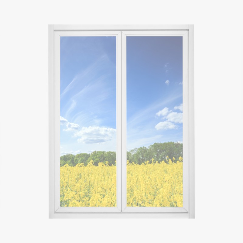 Fensteraufkleber polnisches rapsfeld unter blauem himmel