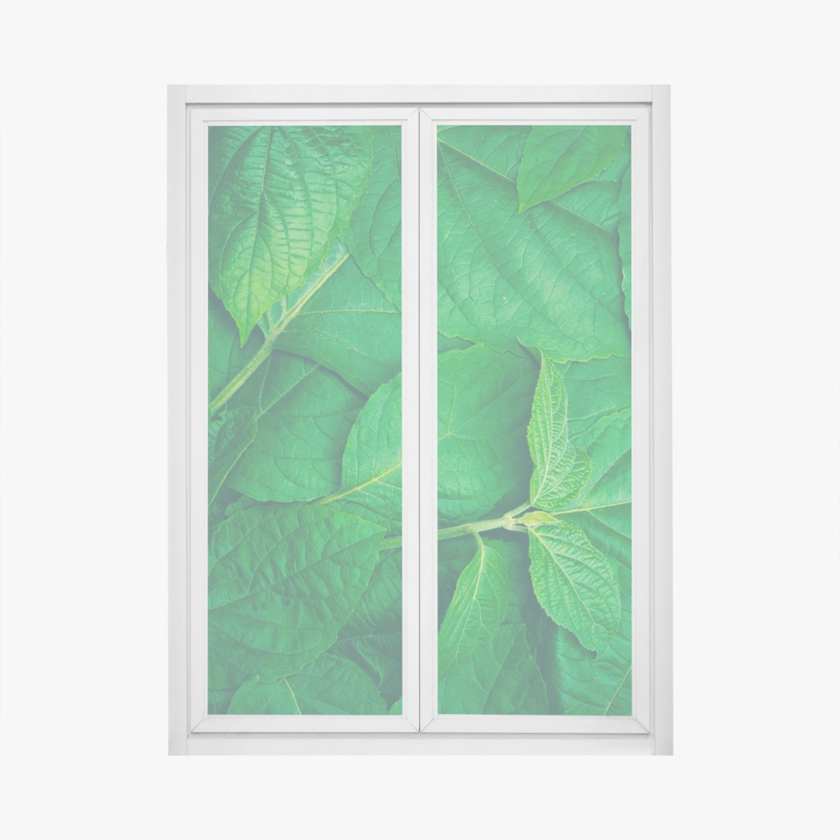 Fensteraufkleber saftige grüne blätter – Wallnifity® Fensteraufkleber saftige grüne blätter – Wallnifity®