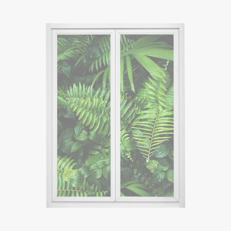 Fensteraufkleber rote rosen vor schwarzem hintergrund – Wallnifity®