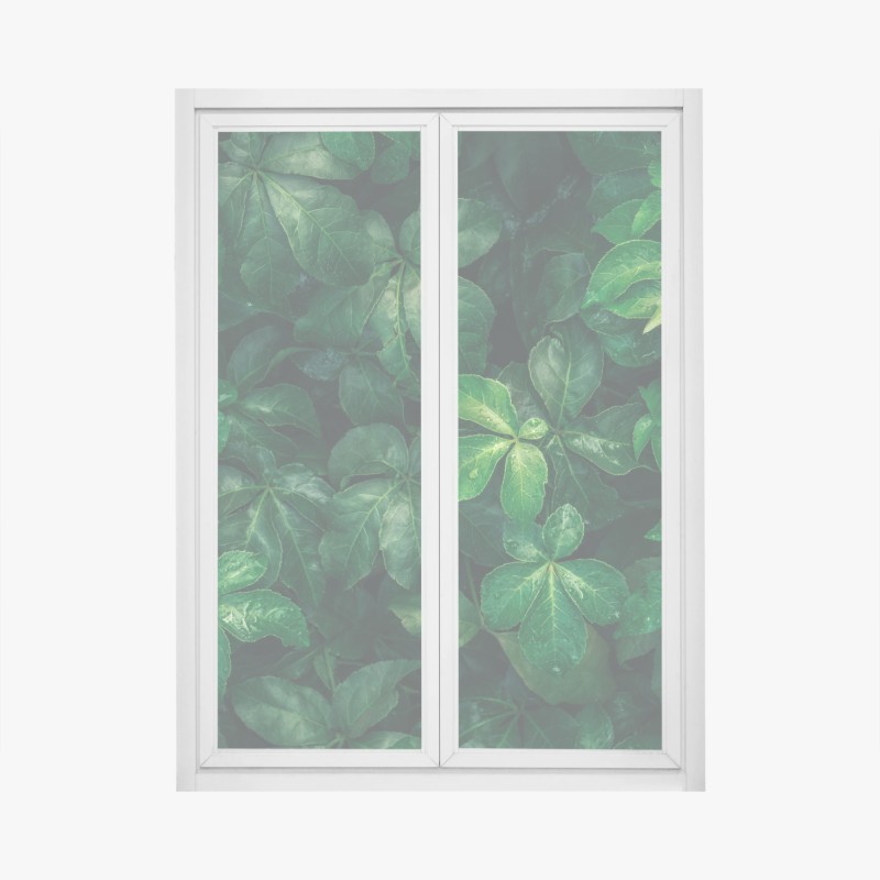 Fensteraufkleber leuchtende nahaufnahme sonnenblume – Wallnifity®