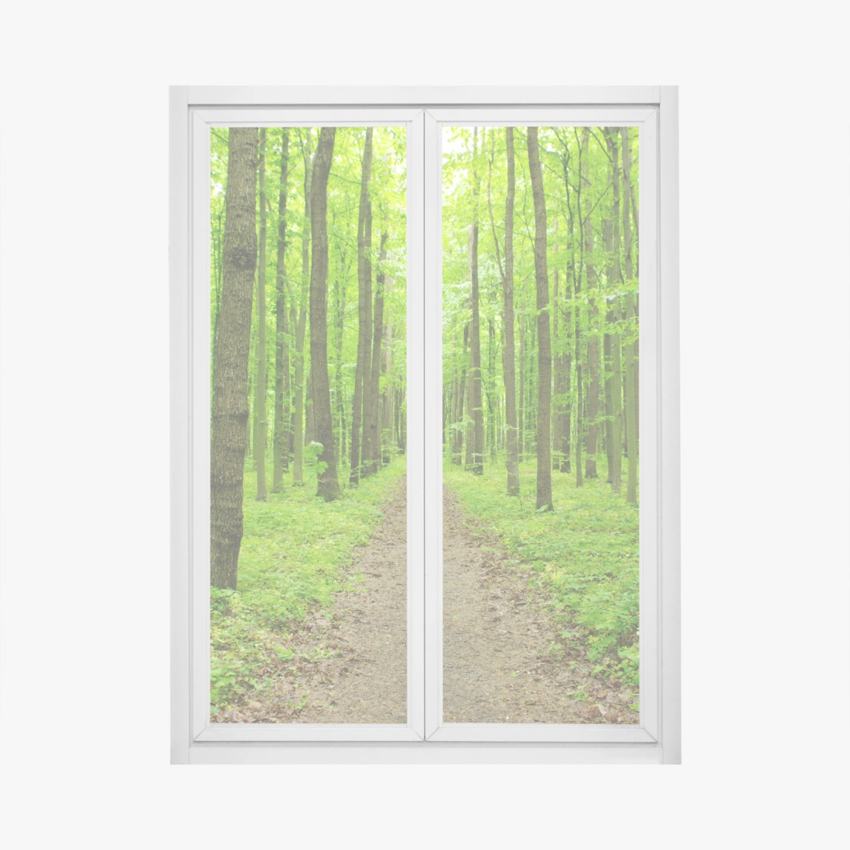 Fensteraufkleber ruhiger grüner waldweg – Wallnifity® Fensteraufkleber ruhiger grüner waldweg – Wallnifity®