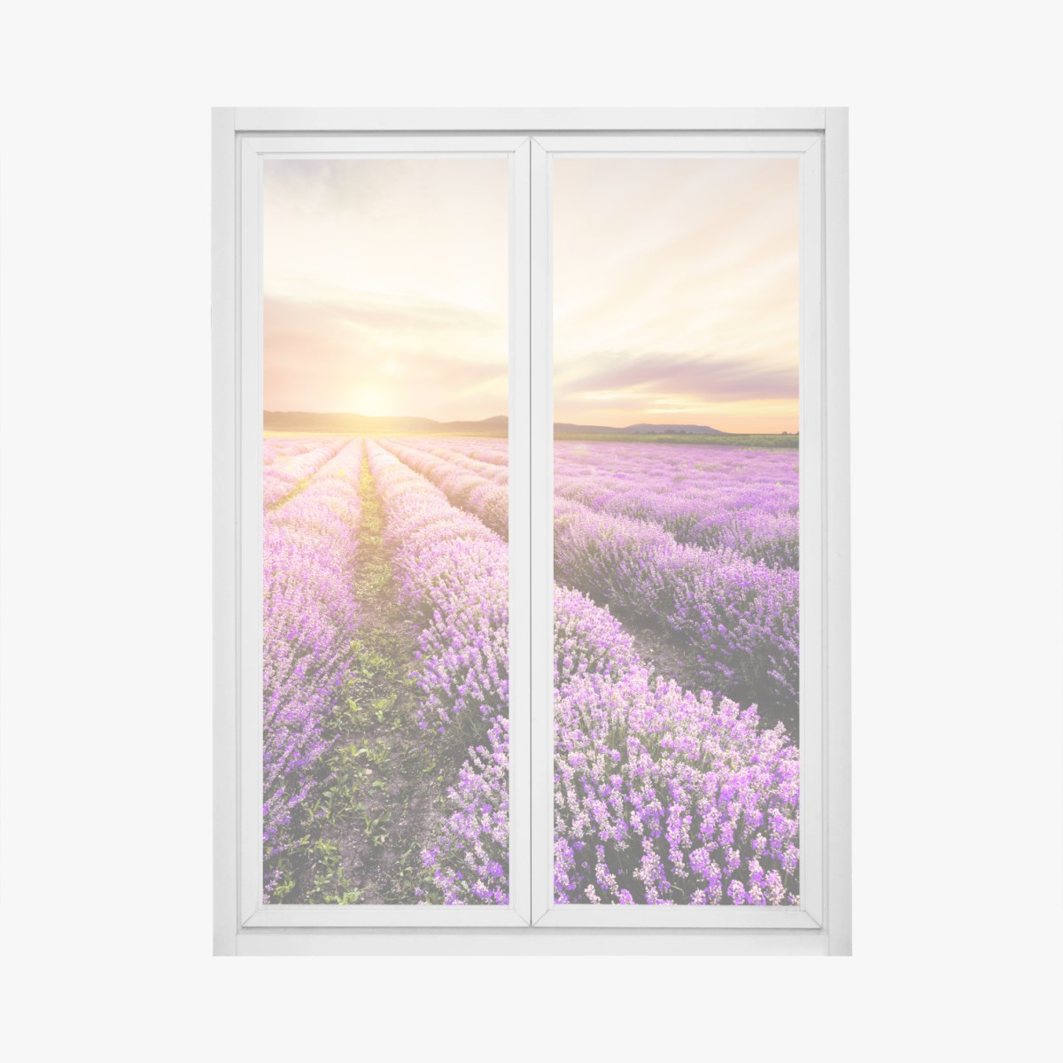 Fensteraufkleber sonnenaufgang über lavendelfeldern – Wallnifity® Fensteraufkleber sonnenaufgang über lavendelfeldern – Wallnifity®
