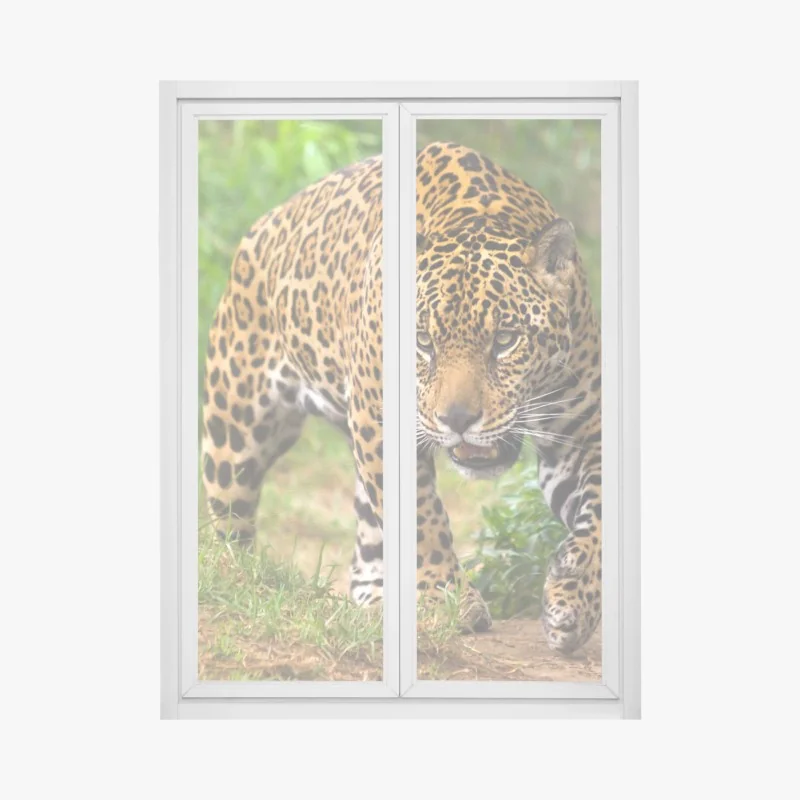 Fensteraufkleber majestätischer jaguar in freier wildbahn – Wallnifity® Fensteraufkleber majestätischer jaguar in freier wildbahn – Wallnifity®