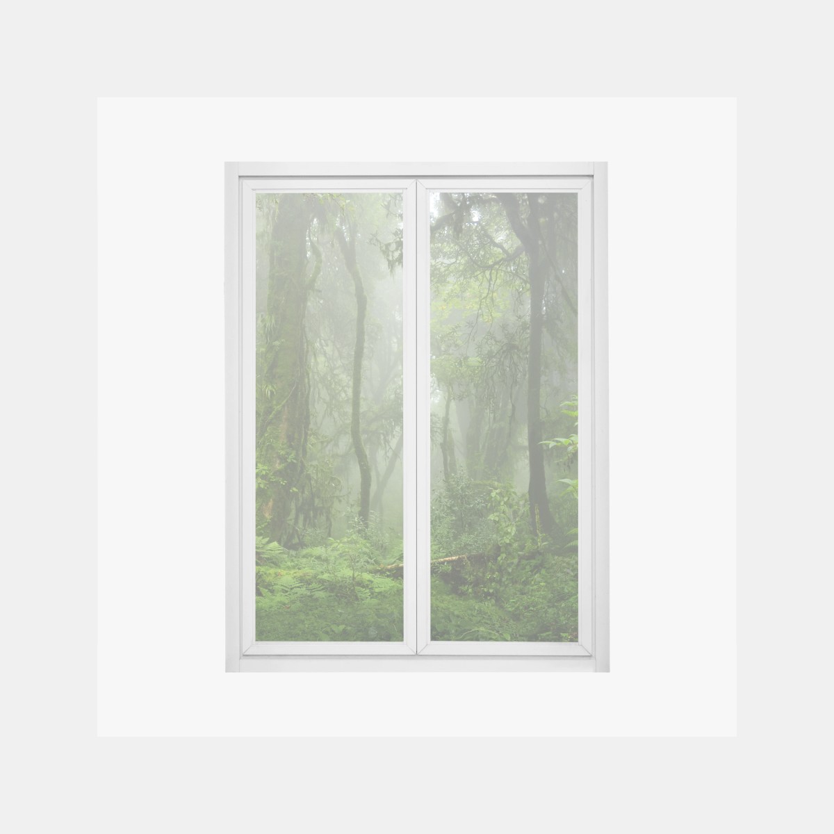 Fensteraufkleber nebliger tropischer dschungelpfad – Wallnifity® Fensteraufkleber nebliger tropischer dschungelpfad – Wallnifity®