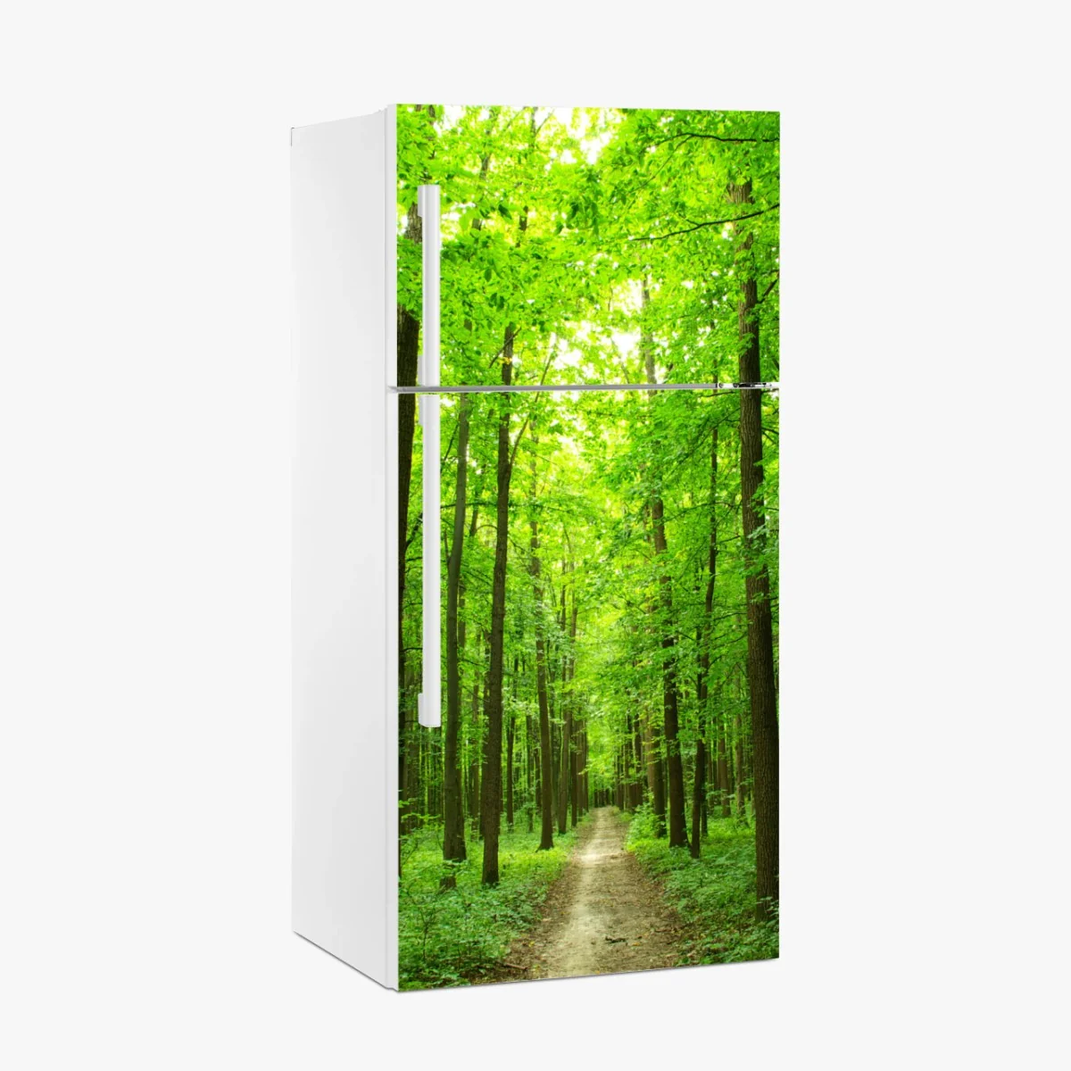 Kühlschrankaufkleber ruhiger waldpfad – Wallnifity® Kühlschrankaufkleber ruhiger waldpfad – Wallnifity®