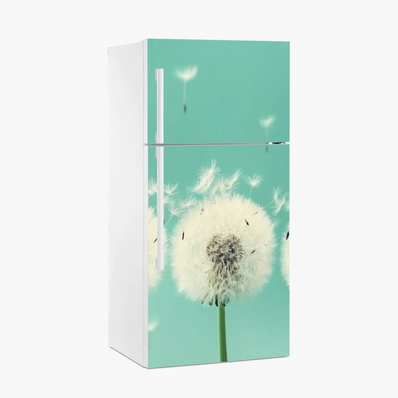 Kühlschrankaufkleber drei löwenzahn-pusteblumen auf türkisgrund