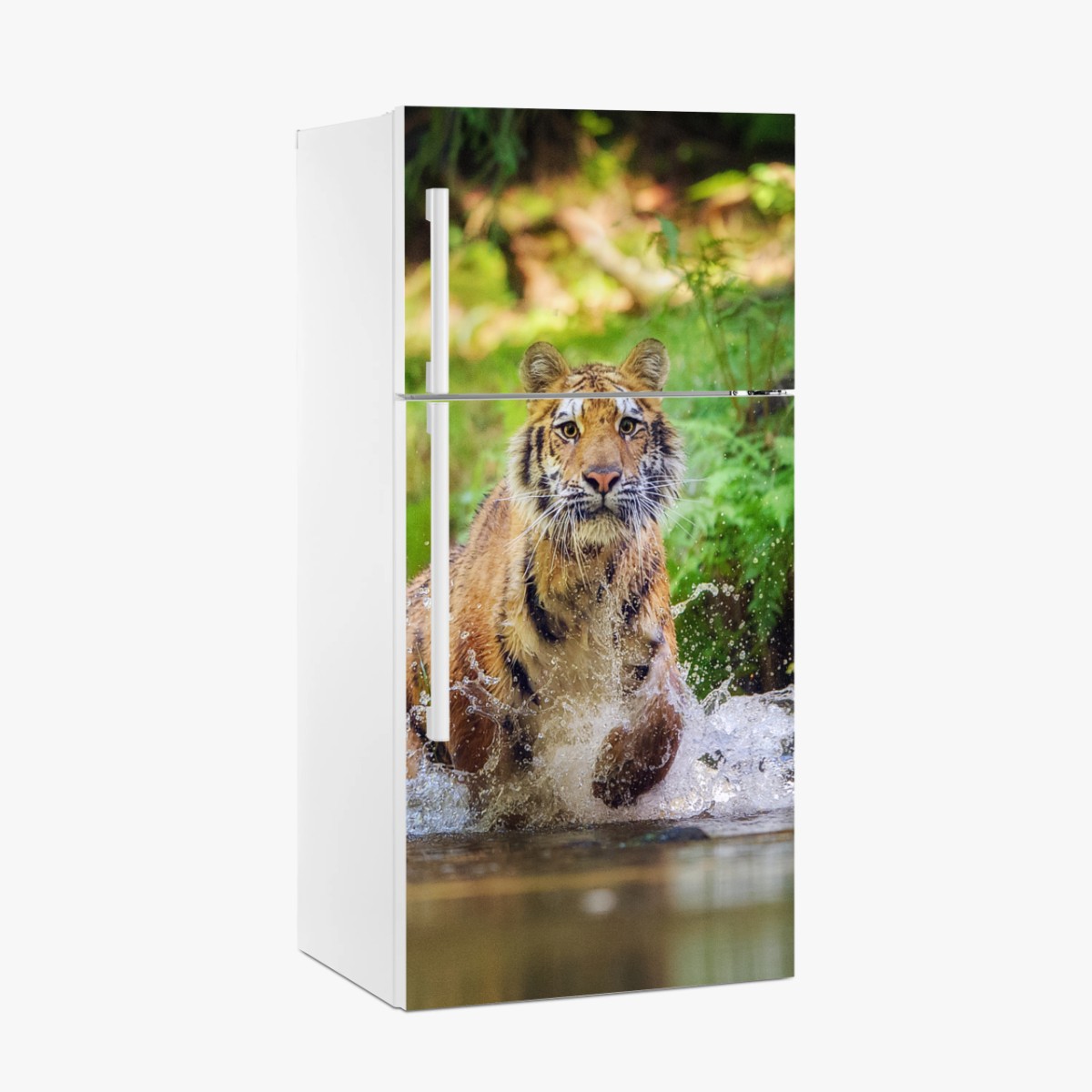 Kühlschrankaufkleber majestätischer tiger im waldbach – Wallnifity® Kühlschrankaufkleber majestätischer tiger im waldbach – Wallnifity®