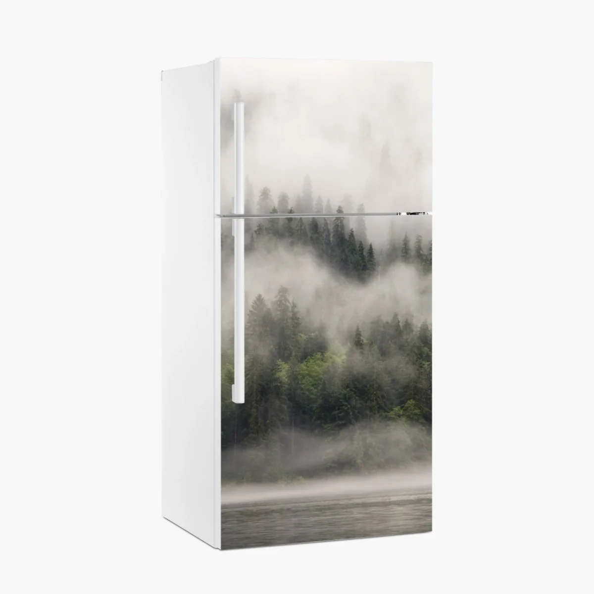 Kühlschrankaufkleber nebliger küstenwald, British Columbia – Wallnifity®