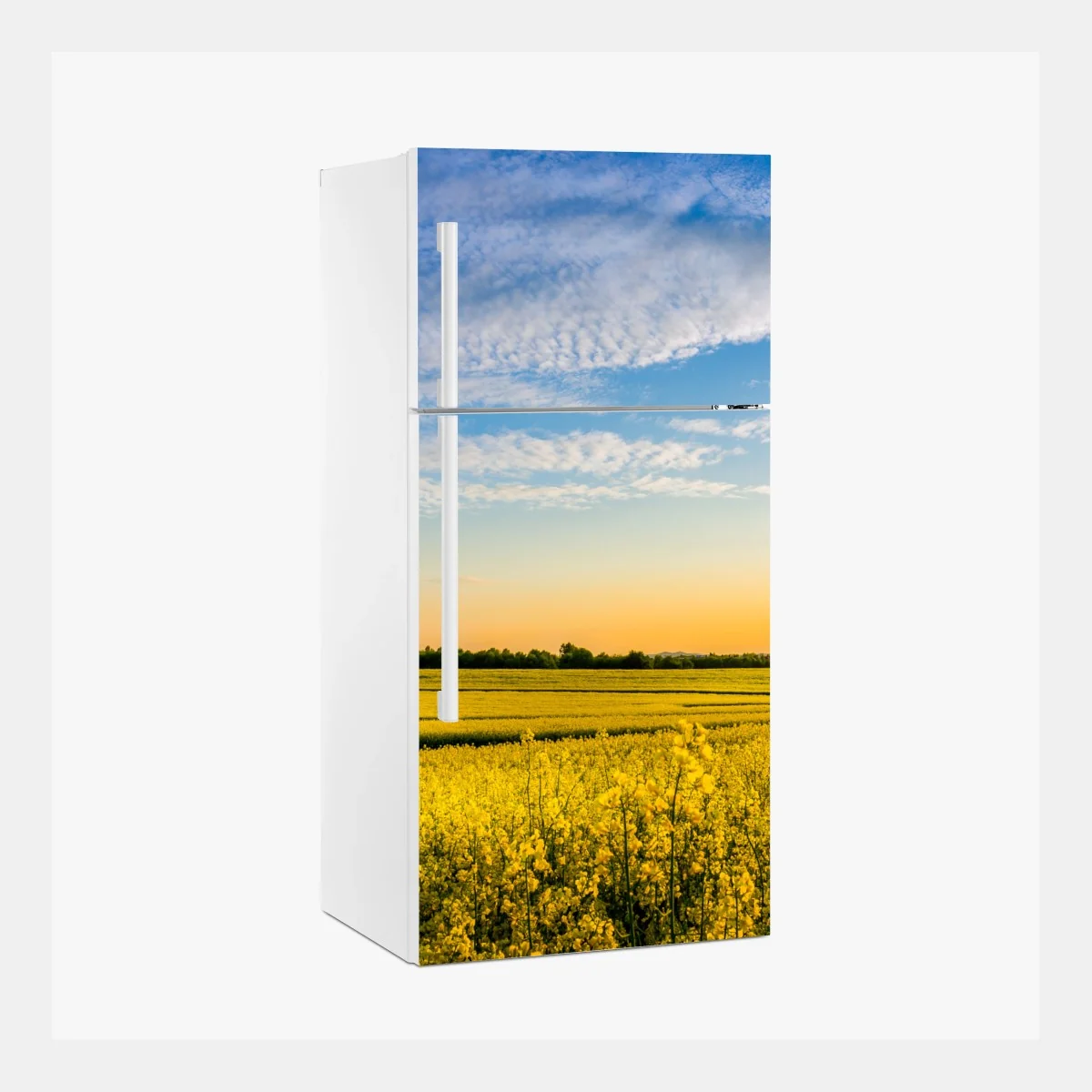 Kühlschrankaufkleber sonnenbeschienenes rapsfeld im abendlicht – Wallnifity® Kühlschrankaufkleber sonnenbeschienenes rapsfeld im abendlicht – Wallnifity®