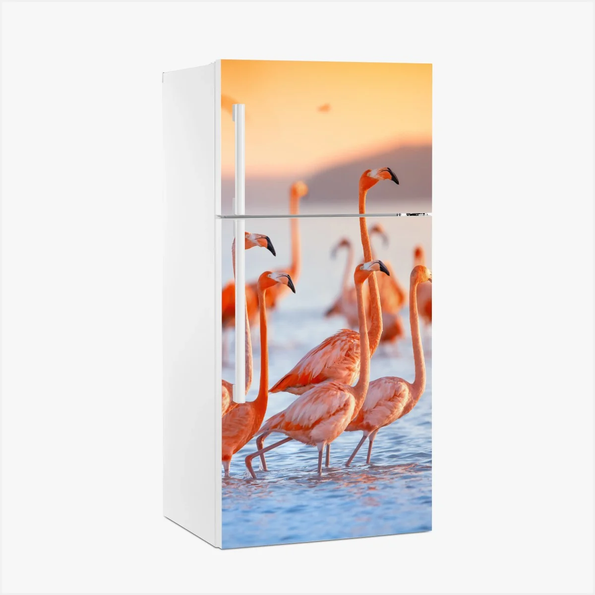 Kühlschrankaufkleber rosa flamingos bei sonnenuntergang – Wallnifity®