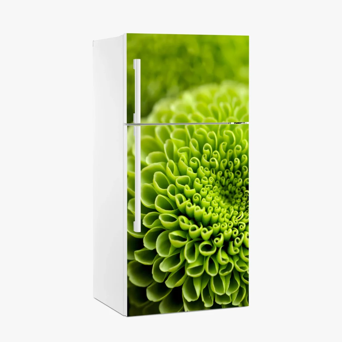 Kühlschrankaufkleber leuchtende grüne blumenspirale im makro – Wallnifity® Kühlschrankaufkleber leuchtende grüne blumenspirale im makro – Wallnifity®